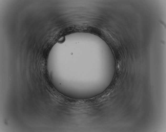 X0000092100867200709121107