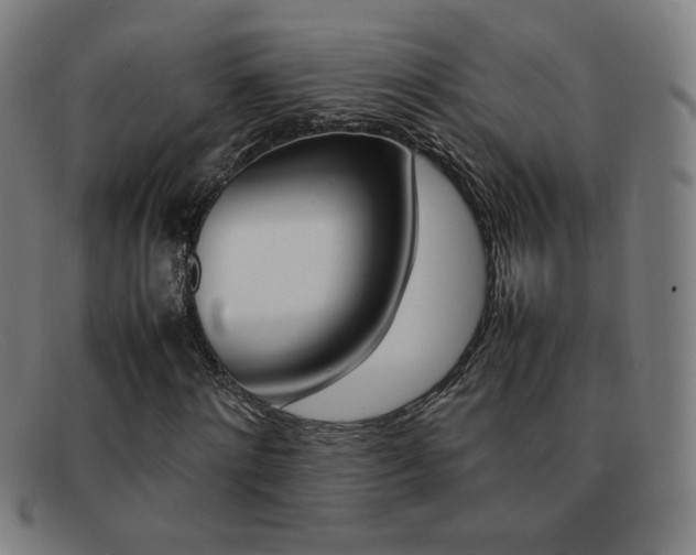 X0000092100868200709121107