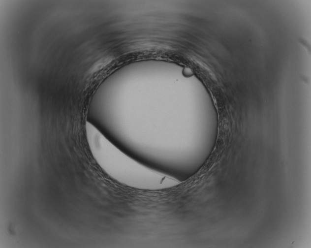 X0000092100869200709121107
