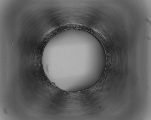 X0000092100870200709121107