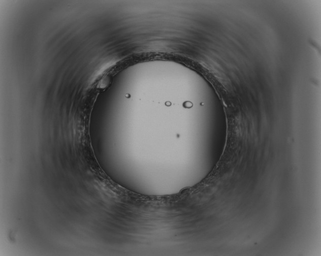 X0000092100872200709121107