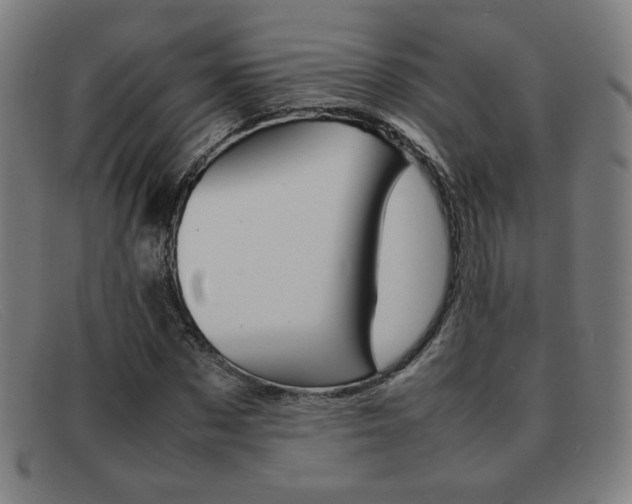 X0000092100873200709121107