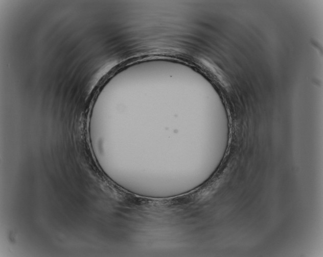 X0000092100875200709121107