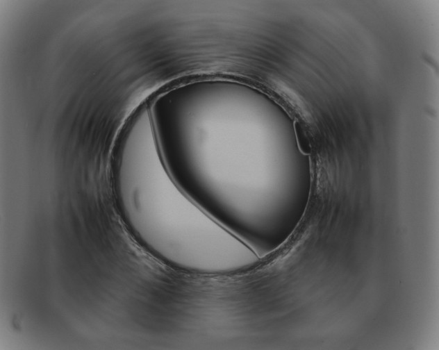 X0000092100876200709121107