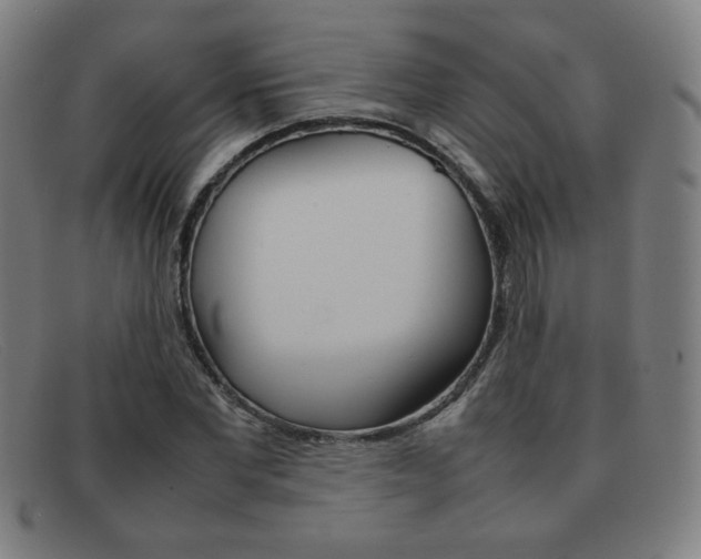 X0000092100877200709121107