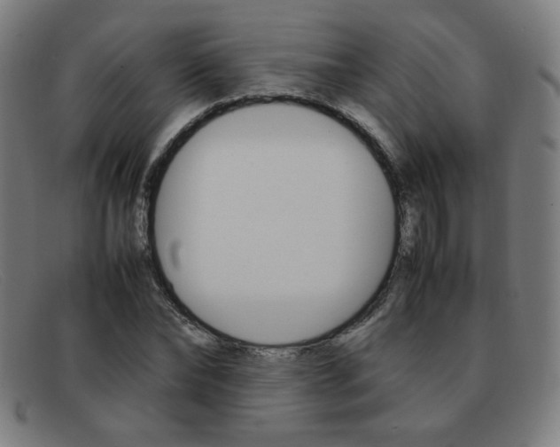 X0000092100878200709121107