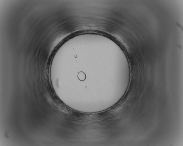 X0000092100879200709121107