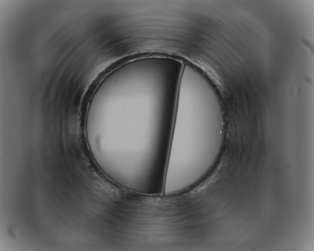 X0000092100880200709121107