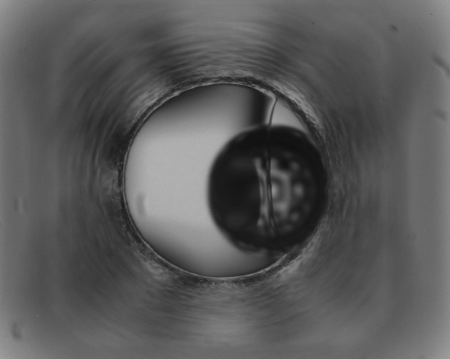 X0000092100881200709121107