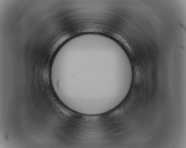 X0000092100882200709121107