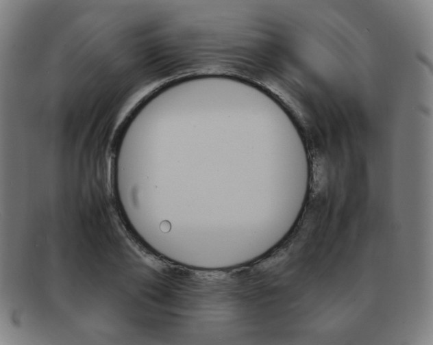X0000092100886200709121107