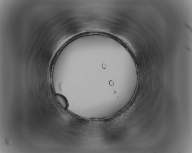 X0000092100887200709121107