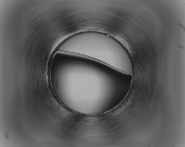 X0000092100888200709121107