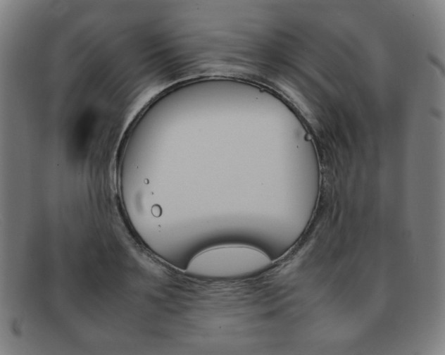 X0000092100891200709121107