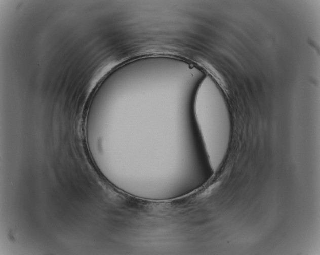 X0000092100893200709121107