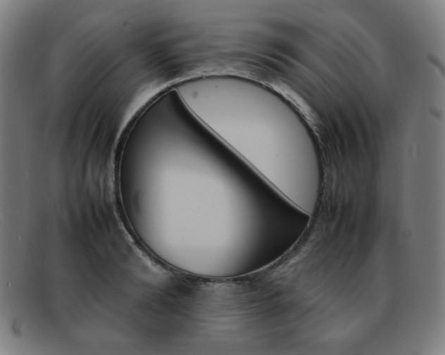X0000092100894200709121107