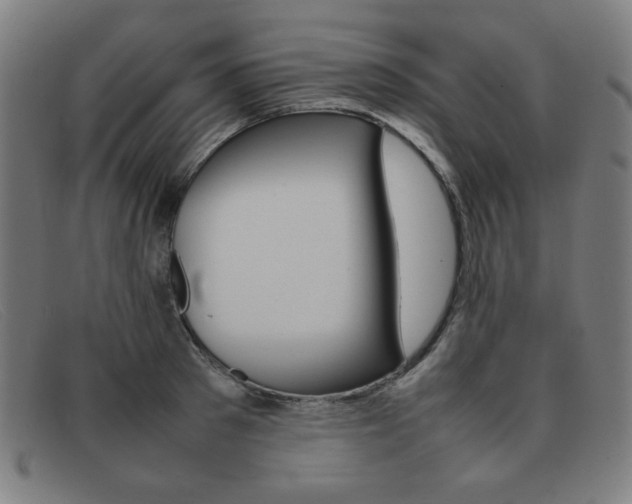 X0000092100897200709121107