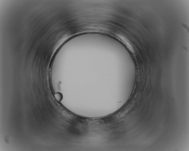 X0000092100899200709121107