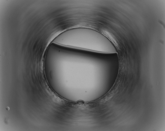 X0000092100900200709121107
