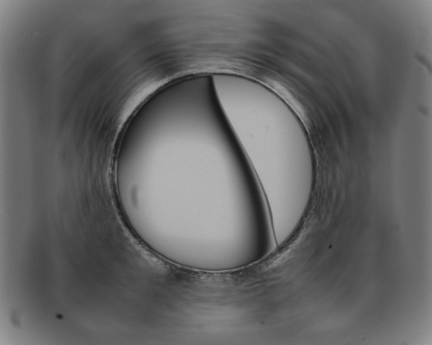 X0000092100901200709121107