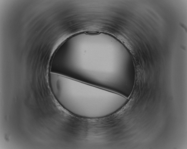 X0000092100904200709121107