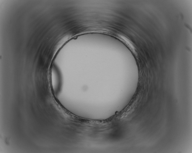 X0000092100907200709121107