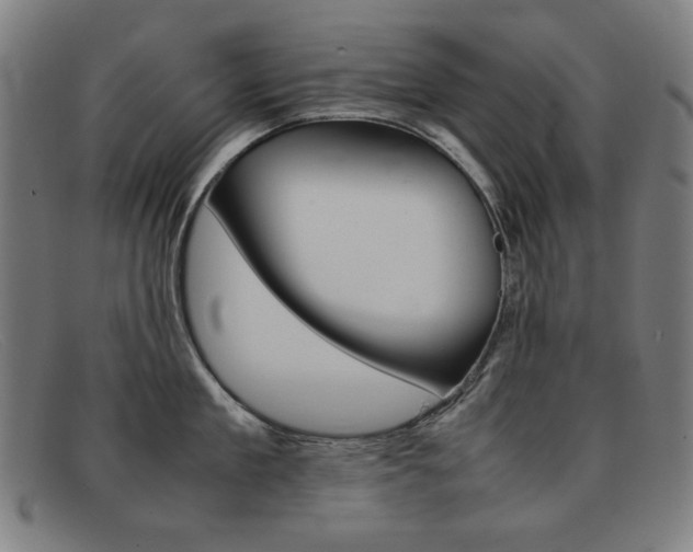 X0000092100909200709121107