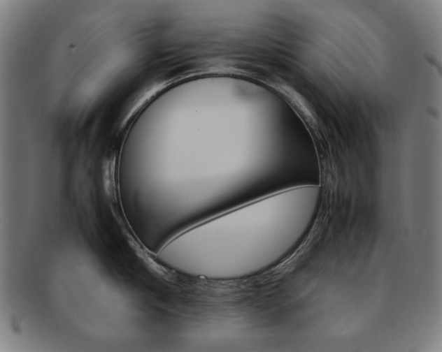 X0000092100910200709121107