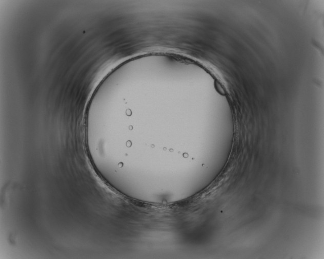 X0000092100911200709121107