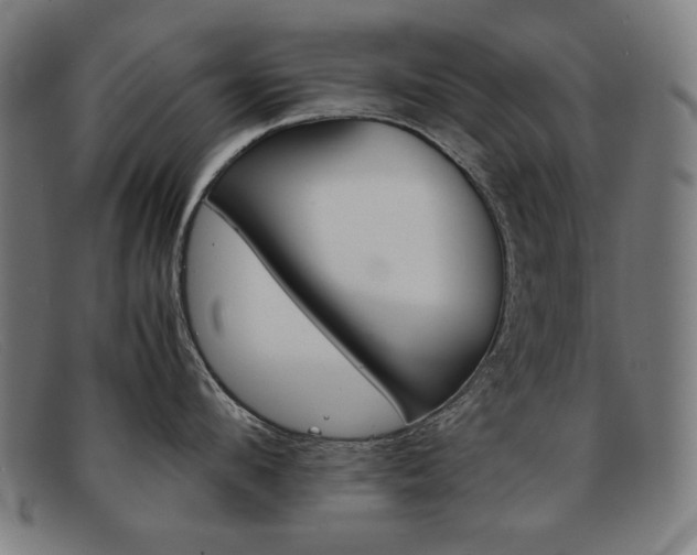 X0000092100912200709121107