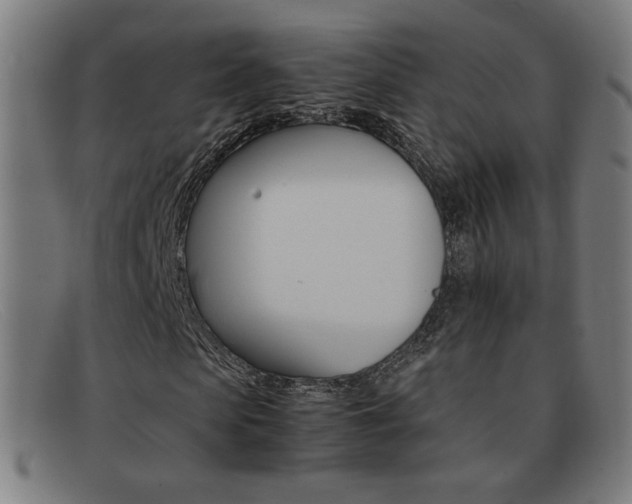 X0000092100913200709121106