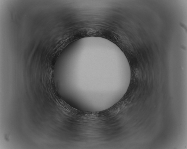 X0000092100914200709121106