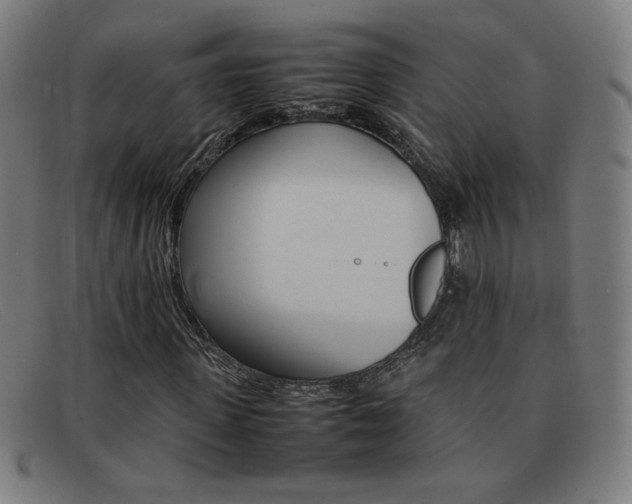X0000092100915200709121106