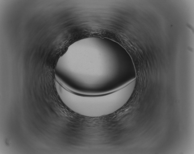 X0000092100916200709121106
