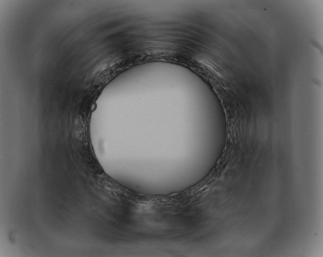 X0000092100917200709121106