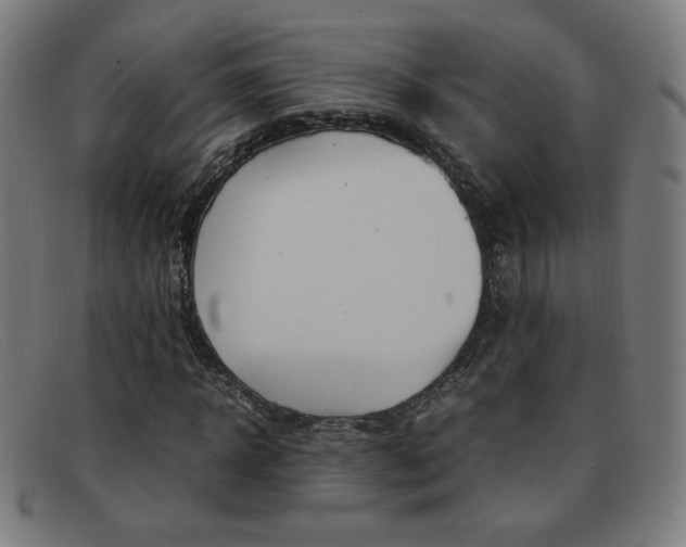 X0000092100918200709121106