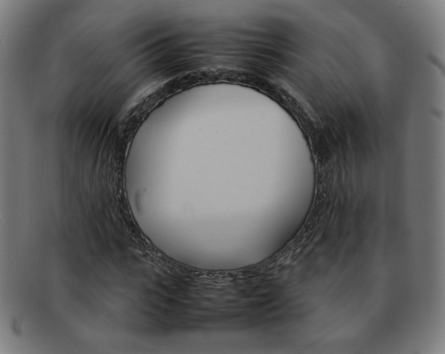 X0000092100919200709121106