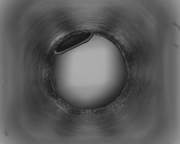 X0000092100920200709121106