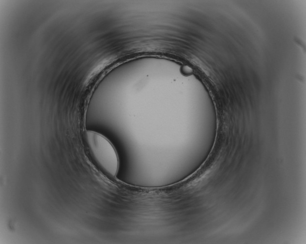 X0000092100922200709121106
