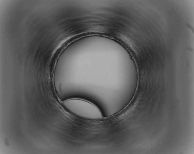 X0000092100923200709121106