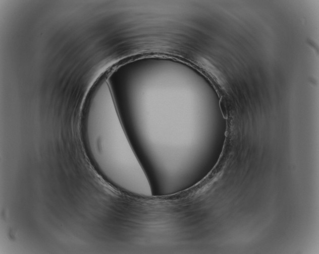 X0000092100924200709121106