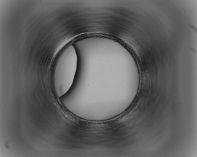 X0000092100925200709121106