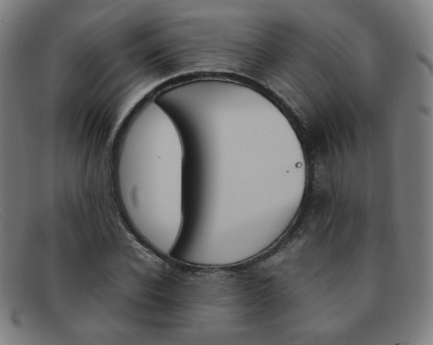 X0000092100926200709121106