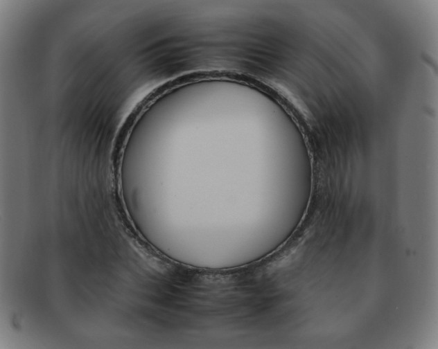 X0000092100927200709121106