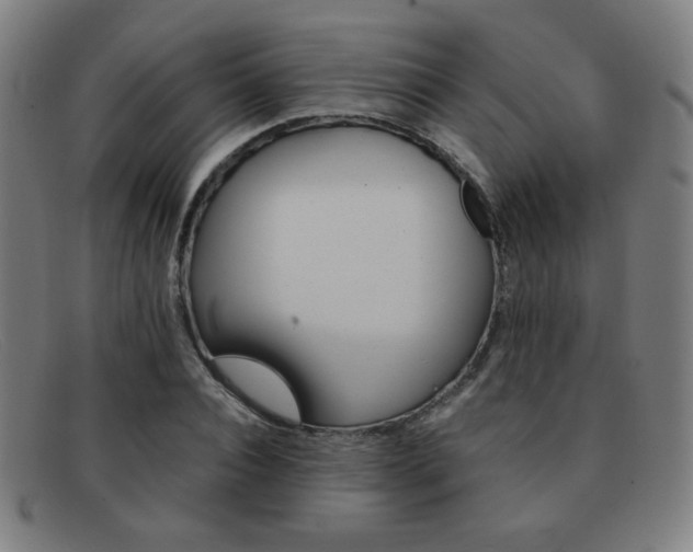 X0000092100928200709121106