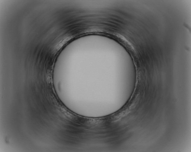 X0000092100929200709121106