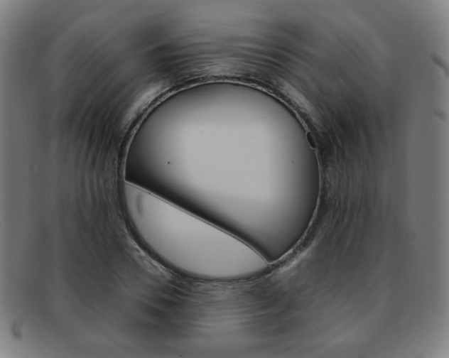 X0000092100930200709121106