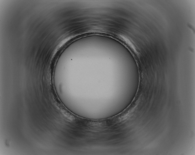 X0000092100931200709121106
