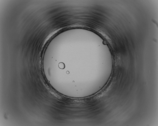 X0000092100933200709121106