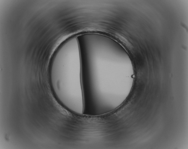 X0000092100934200709121106